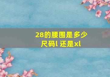 28的腰围是多少尺码l 还是xl